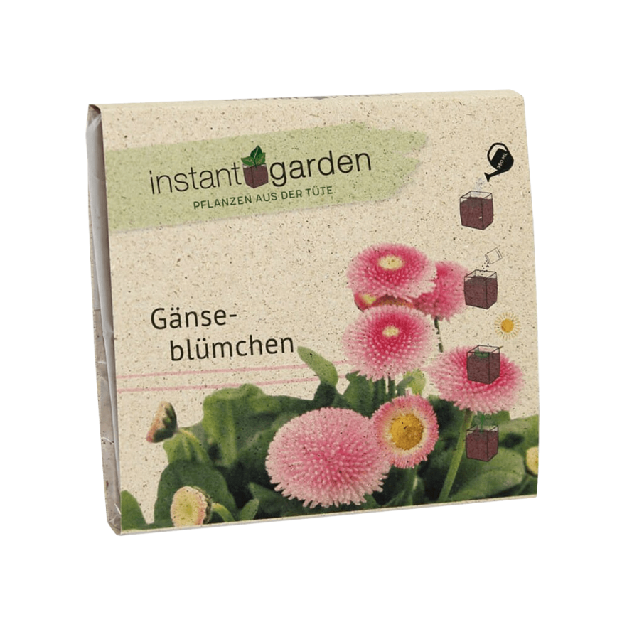 Instant Garden "Gänseblümchen"