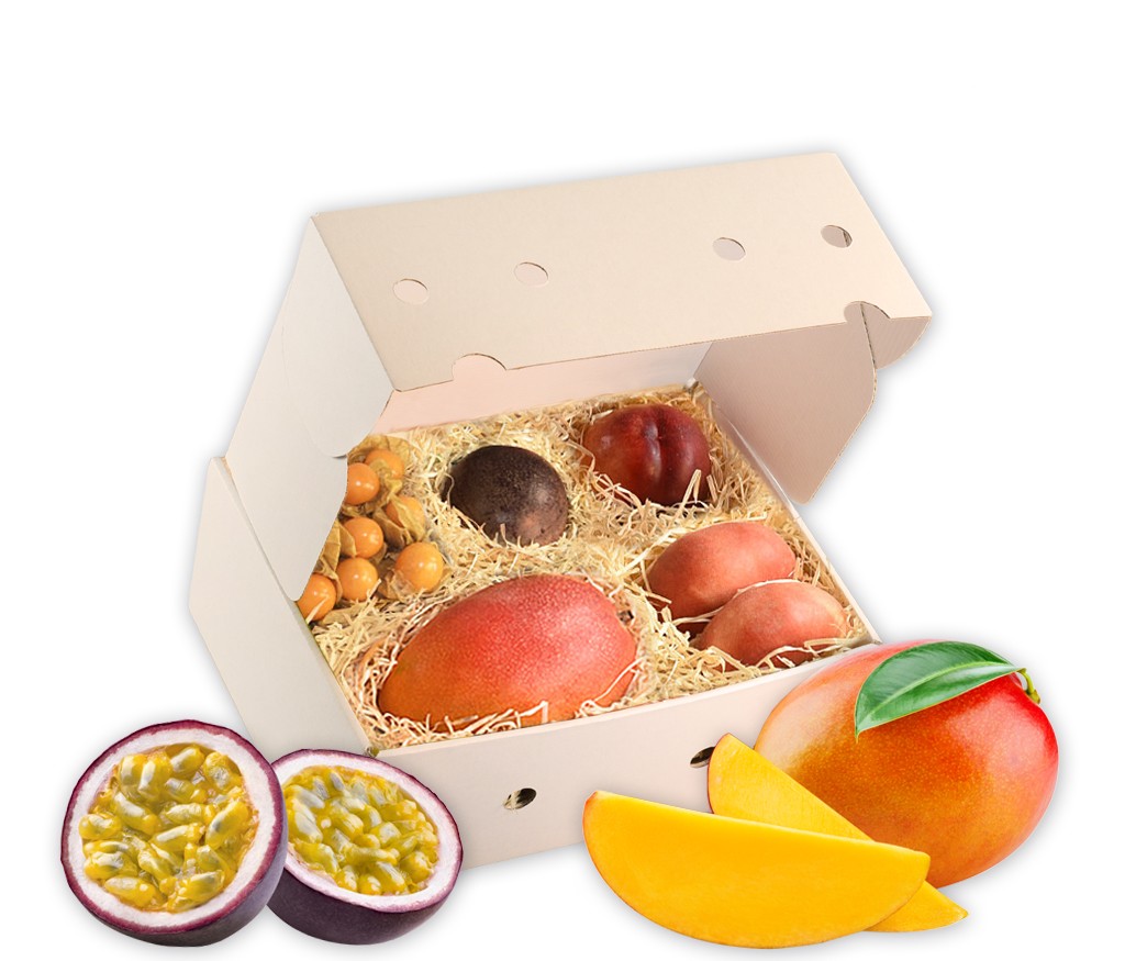 Obstbox Tropical, exotische Früchte aus tropischen Regionen