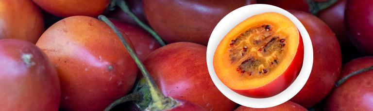 Tamarillo kaufen