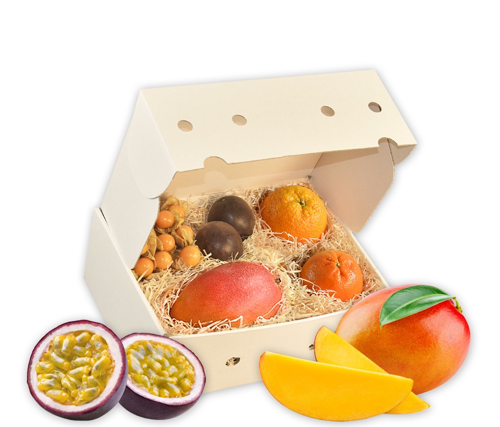 Obstbox Tropical, exotische Früchte aus tropischen Regionen