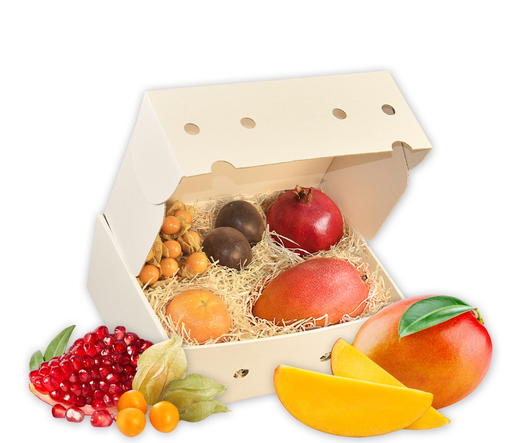 Obstbox Exotica, knackige exotische Früchte in einer liebevoll gepackten Geschenkbox