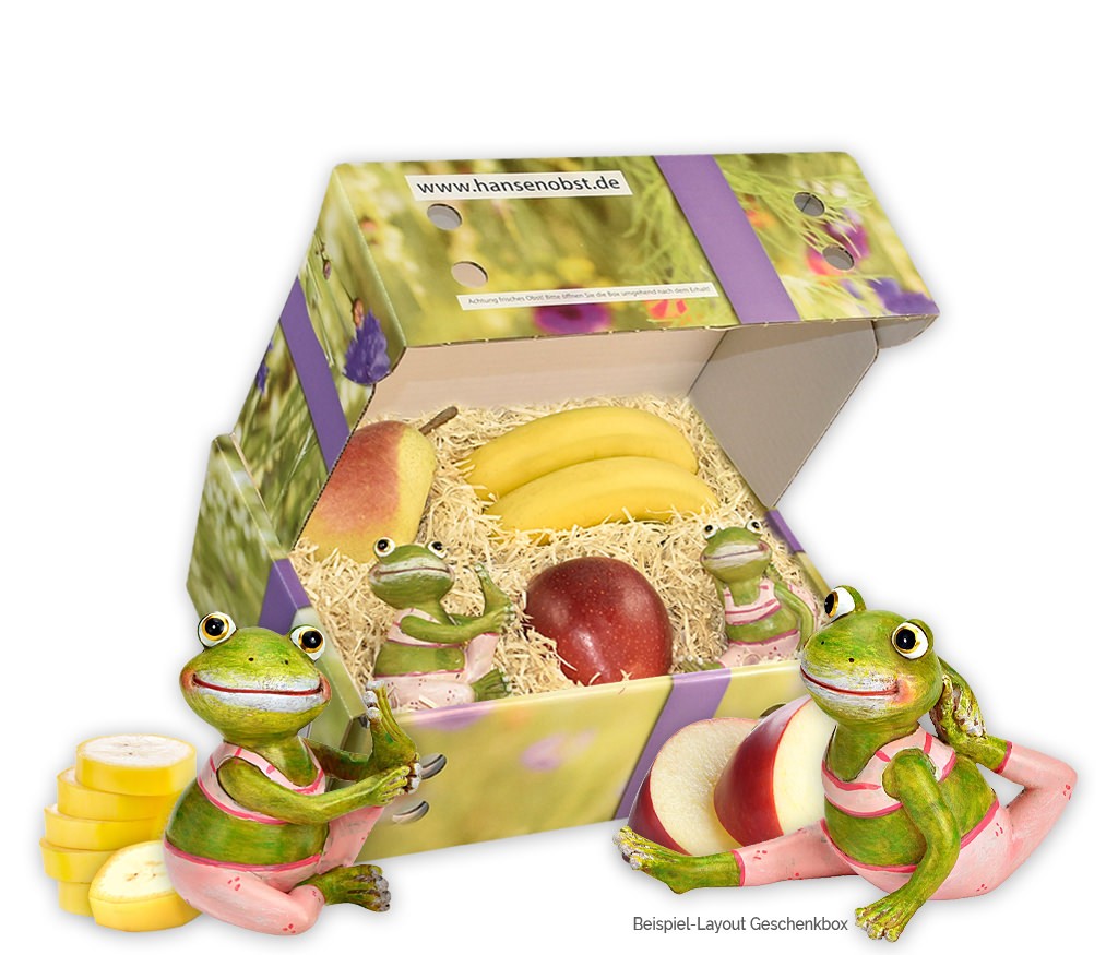 Geschenkbox für Fitnesshelden mit witzigen Yogafröschen und frischem Obst