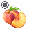 Nektarine