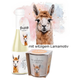 SET: LAMA Windlicht & Sekt 11%(0,2l) 