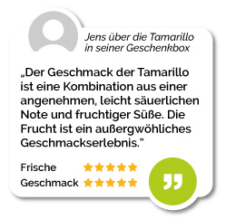 Tamarillo kaufen