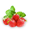 Erdbeer-Basilikum-Wasser